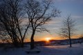 Winter 18.12.2010_6
